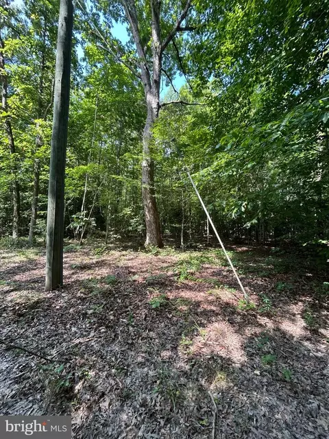 00 Runninghorse Ln, Gloucester, VA 23061 photo 9