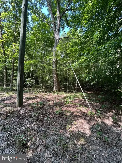 00 Runninghorse Ln, Gloucester, VA 23061 photo 10