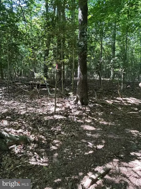 00 Runninghorse Ln, Gloucester, VA 23061 photo 4
