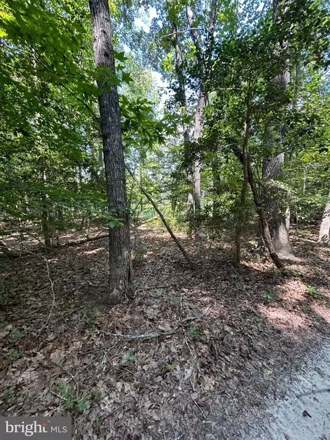 00 Runninghorse Ln, Gloucester, VA 23061 photo 11