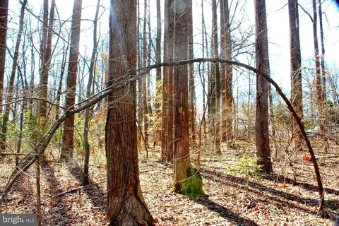 Bambi Court, Beaverdam, VA 23015