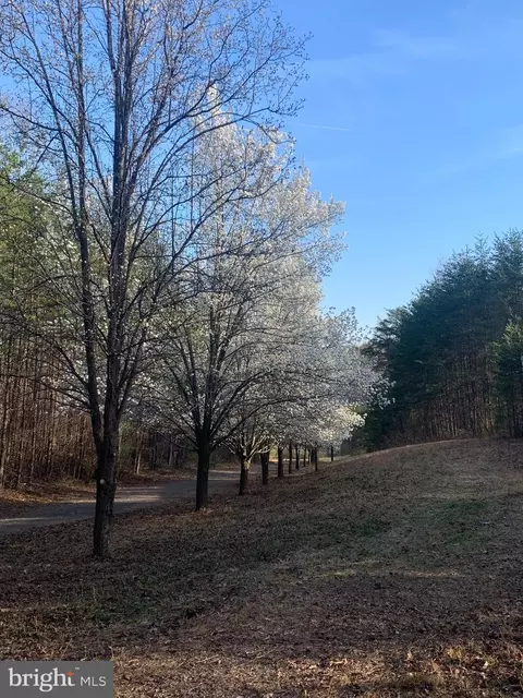 230 Kilby Rd, Martinsville, VA 24112 photo 17