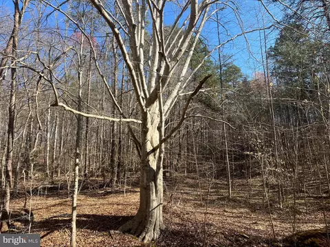 230 Kilby Rd, Martinsville, VA 24112 photo 26