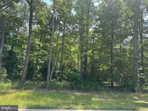 8675 Strath Rd, Richmond, VA 23231 photo 5