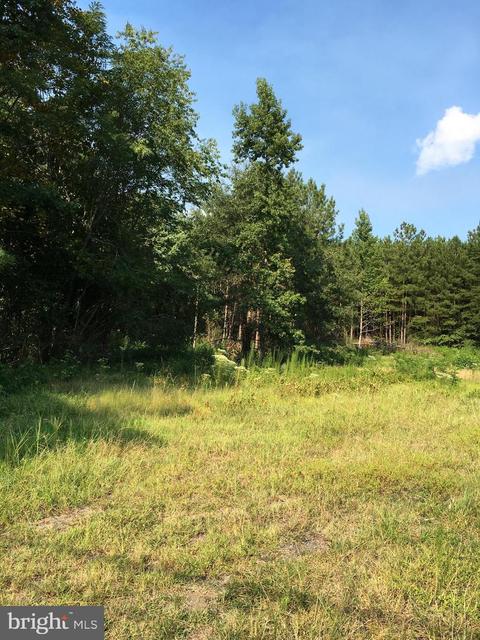 12197 Mount Rose Dr, King George, VA 22485