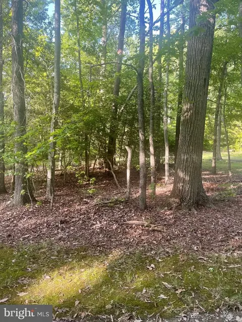 Mathias Point Road, King George, VA 22485