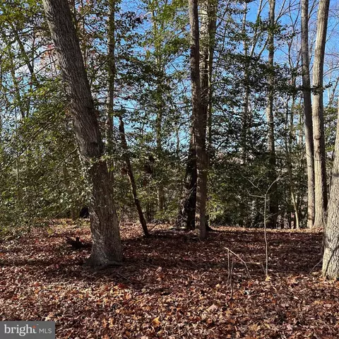Machodoc Creek/rt218, King George, VA 22485