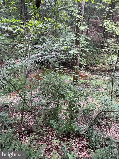 lot27 Salem Church Rd, King George, VA 22485