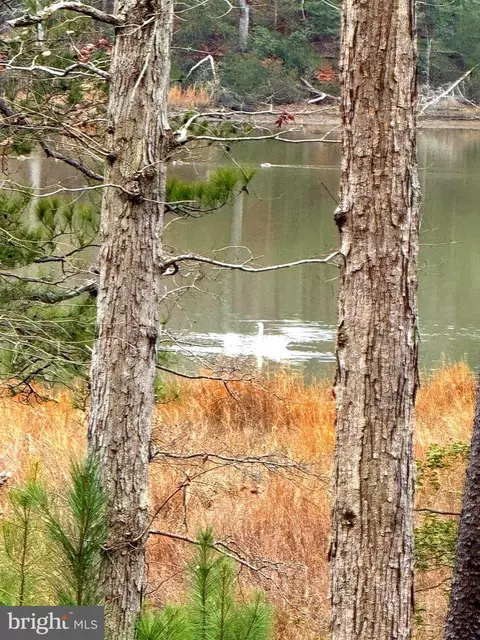 3 Seagrass Ct, King George, VA 22485