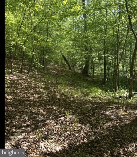 lot1 King George Map 35-3-1, King George, VA 22485