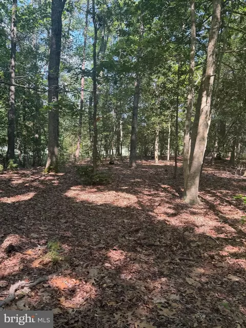 0000 Nancy Ln, King George, VA 22485
