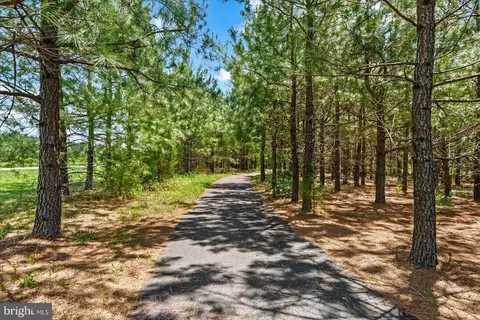 Other - 6325 Pointer Ln, King George, VA 22485 photo 16 of 16