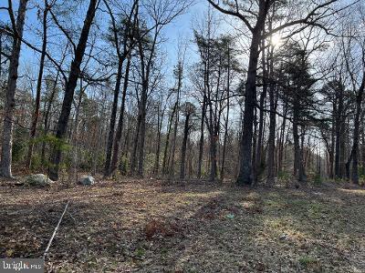 3 Kentucky Springs Road, Mineral, VA 23117