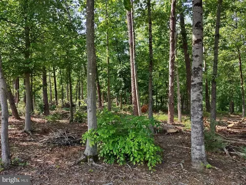 46 Sunset Loop, Mineral, VA 23117 photo 3