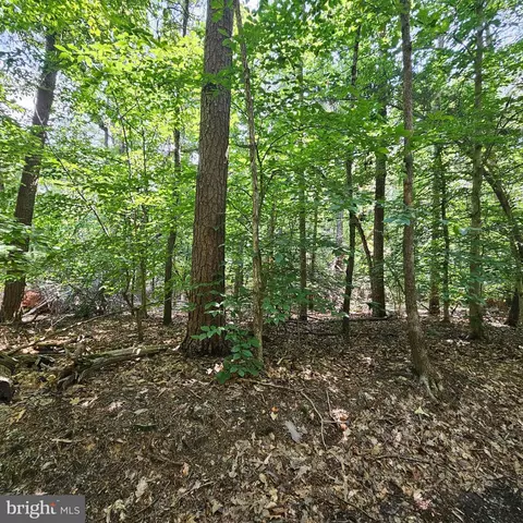 55 Anna Coves Boulevard, Mineral, VA 23117
