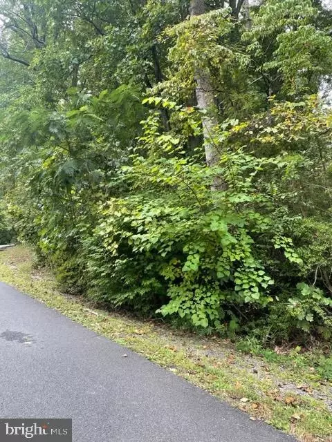 389 North Lakeshore Drive, Louisa, VA 23093