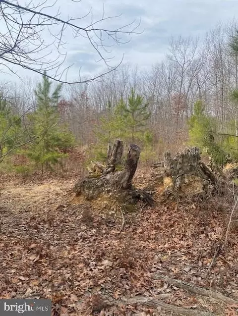 Doctors Rd, Louisa, VA 23093