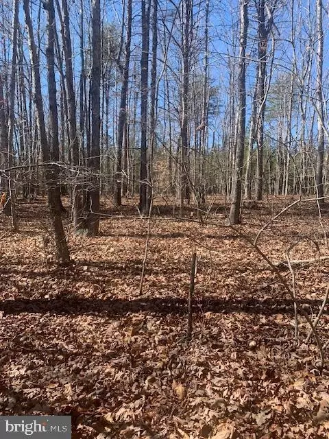 206 Pinehurst Drive #206, Gordonsville, VA 22942
