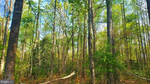 lot1045 Poplar Dr, Louisa, VA 23093