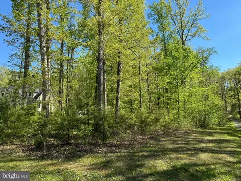 51 Lighthouse Dr, Bumpass, VA 23024 photo 9