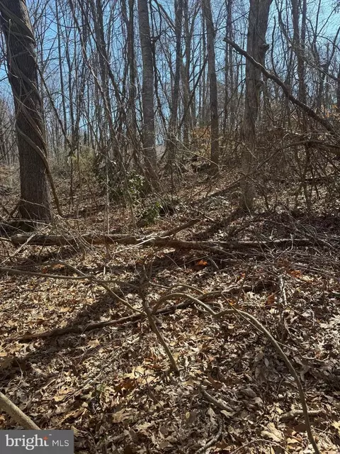 Lot 789 Poplar Drive, Louisa, VA 23093