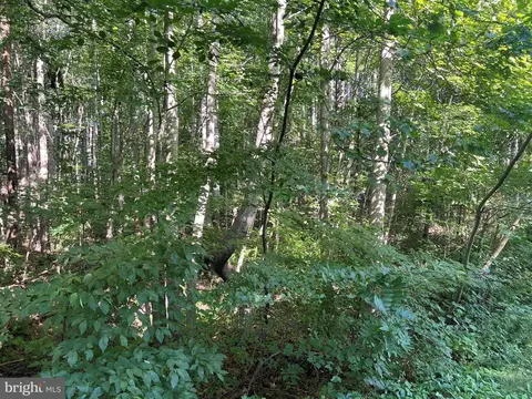 Overton Dr, Bumpass, VA 23024 photo 3