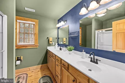 Bath - 17 Fox Run Forest Ln, Beaverdam, VA 23015 photo 4 of 5