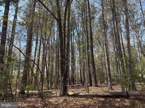 Windwood Coves Blvd, Mineral, VA 23117