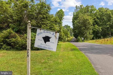 Other - 775 Spring Rd, Mineral, VA 23117 photo 4 of 25