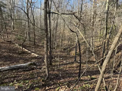 Plank Rd, Kenbridge, VA 23944 photo 29
