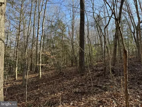 Plank Rd, Kenbridge, VA 23944 photo 21