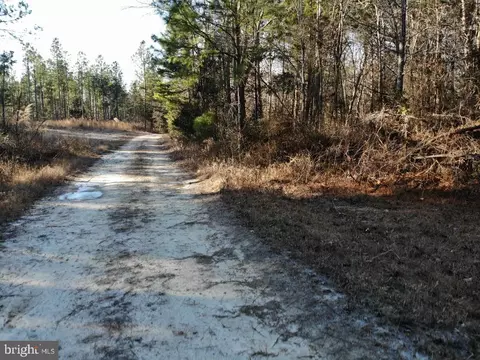 Plank Rd, Kenbridge, VA 23944 photo 38