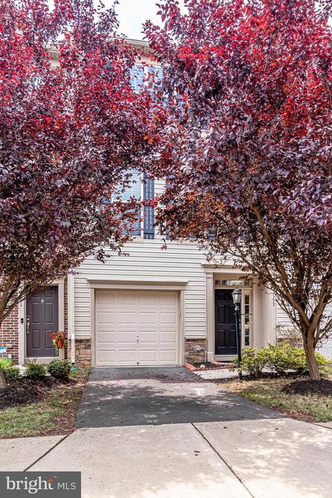 42599 Chisholm Dr, Broadlands, VA 20148 photo 1