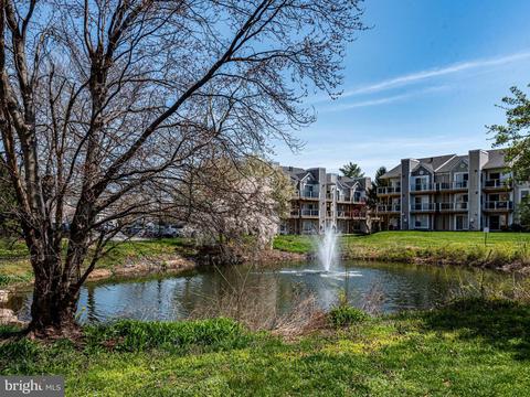 20600 Cornstalk Ter #201, Ashburn, VA 20147 photo 33