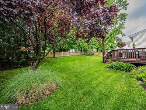 20529 Breezyhill Dr, Ashburn, VA 20147 photo 53