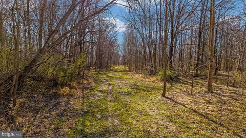 APT Tbd Mountain Road, Purcellville, VA 20132