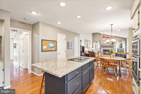 43367 Wildrose Ct, Ashburn, VA 20147 photo 16
