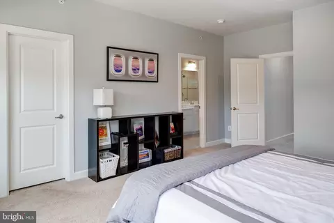 22170 Maple Tree Ter, Ashburn, VA 20148 photo 16
