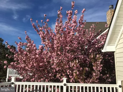 19921 Mizner Ter, Ashburn, VA 20147 photo 33