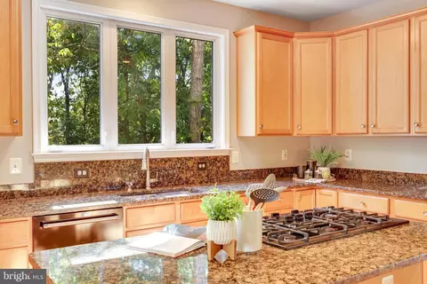42835 Bluestone Ct, Broadlands, VA 20148 photo 8