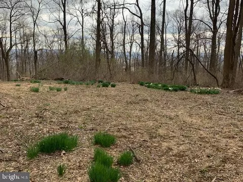 19802 Old Blueridge Rd, Bluemont, VA 20135