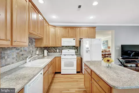 20168 Plum Ridge Ter, Ashburn, VA 20147 photo 10