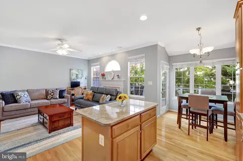 20168 Plum Ridge Ter, Ashburn, VA 20147 photo 12