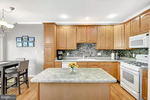 20168 Plum Ridge Ter, Ashburn, VA 20147 photo 9