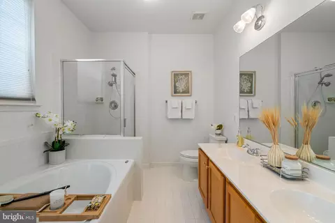 43285 Elk View Ter, Ashburn, VA 20147 photo 9
