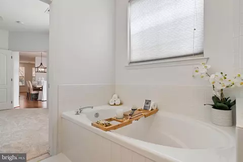 43285 Elk View Ter, Ashburn, VA 20147 photo 23