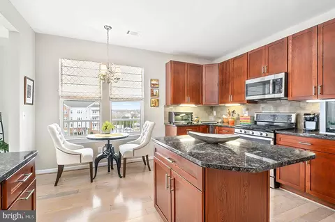 20600 Hope Spring Ter #405, Ashburn, VA 20147 photo 19