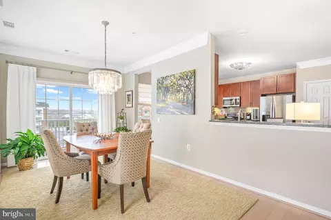 20600 Hope Spring Ter #405, Ashburn, VA 20147 photo 11