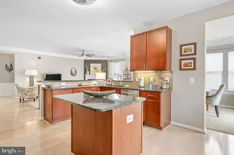 20600 Hope Spring Ter #405, Ashburn, VA 20147 photo 17