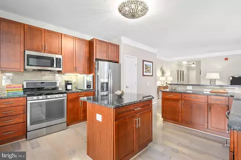 20600 Hope Spring Ter #405, Ashburn, VA 20147 photo 16
